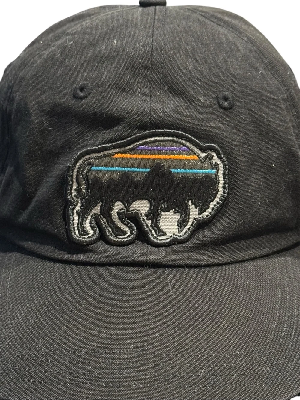 Patagonia Fitz Roy Bison Sttrapback Hat Cap Black